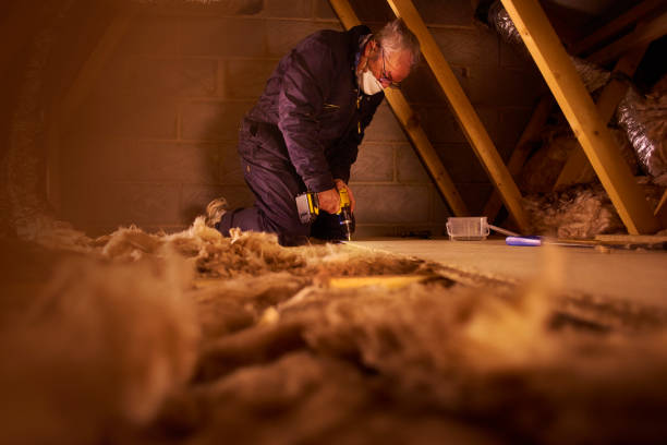 Types of Insulation We Offer in Odenton, MD